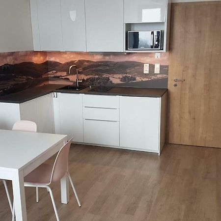 Apartmany Dolní Morava מראה חיצוני תמונה