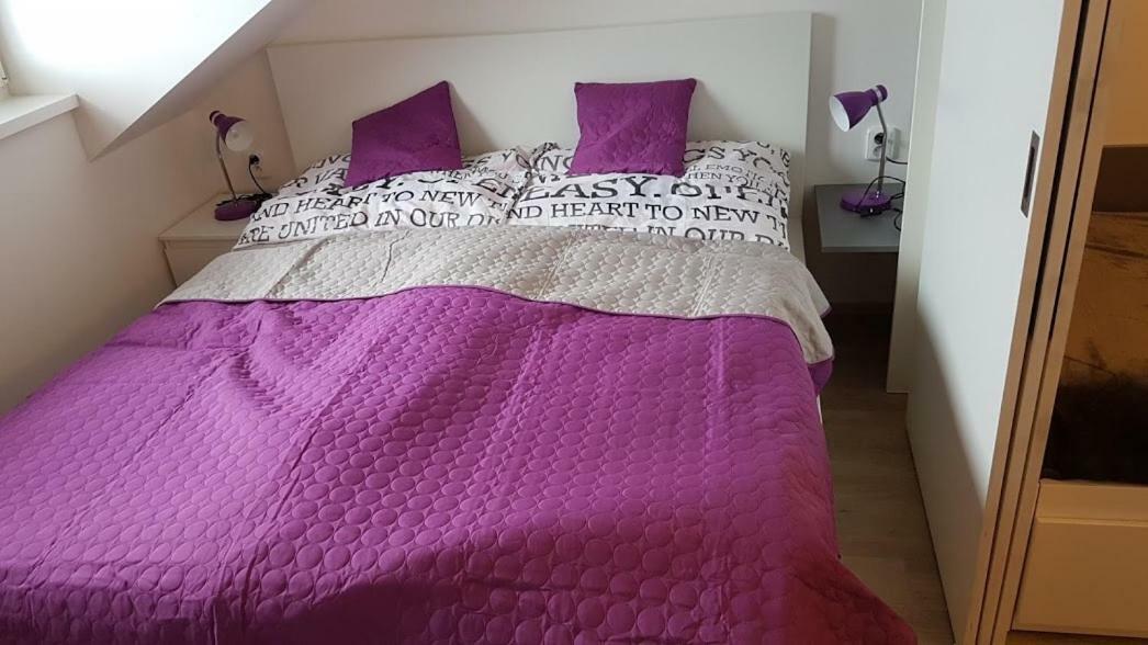 Apartmany Dolní Morava מראה חיצוני תמונה