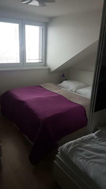 Apartmany Dolní Morava מראה חיצוני תמונה